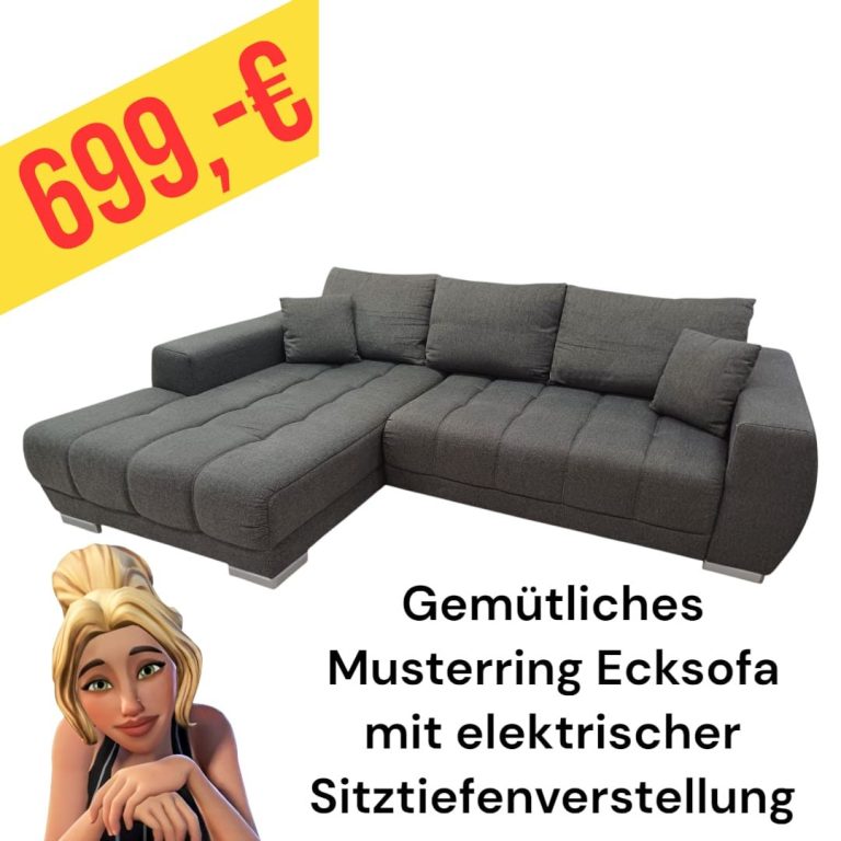 Polinova Ecksofa aus anti-aging Glattleder, Preis: 579 €