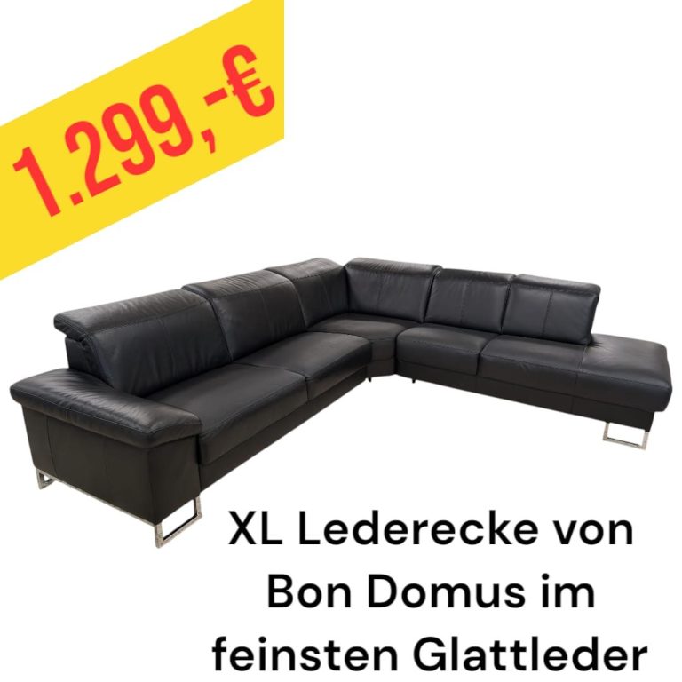 Polinova Ecksofa aus anti-aging Glattleder, Preis: 579 €
