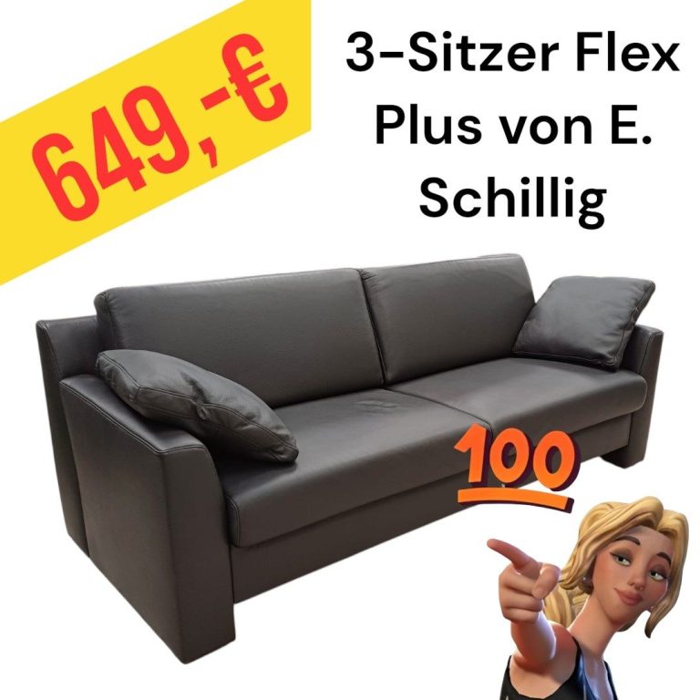 Polinova Ecksofa aus anti-aging Glattleder, Preis: 579 €