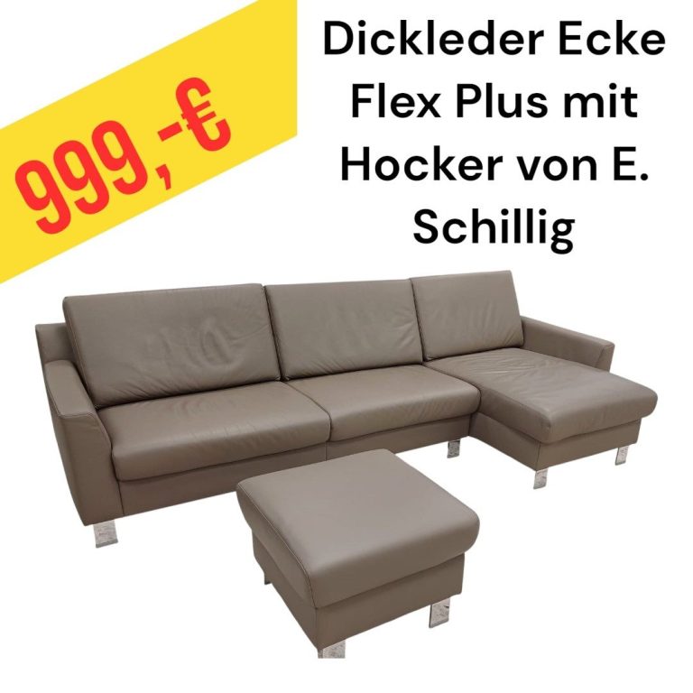 Polinova Ecksofa aus anti-aging Glattleder, Preis: 579 €