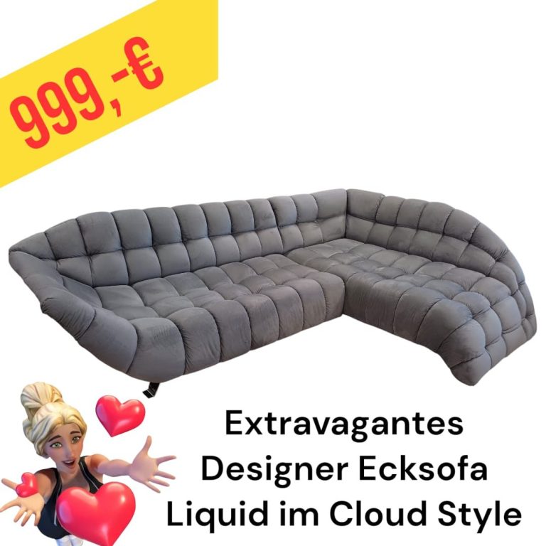 Polinova Ecksofa aus anti-aging Glattleder, Preis: 579 €