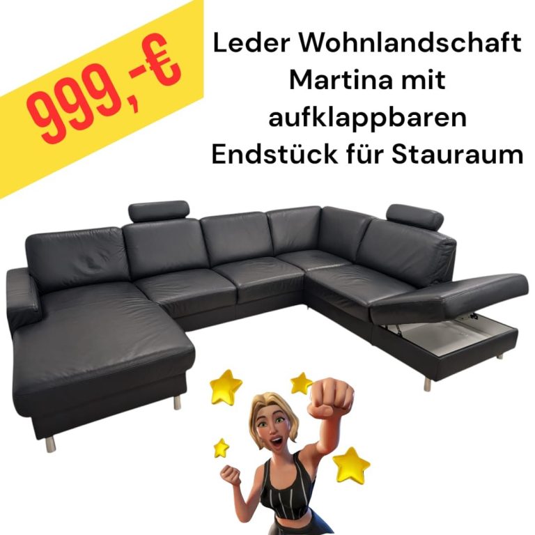 Polinova Ecksofa aus anti-aging Glattleder, Preis: 579 €