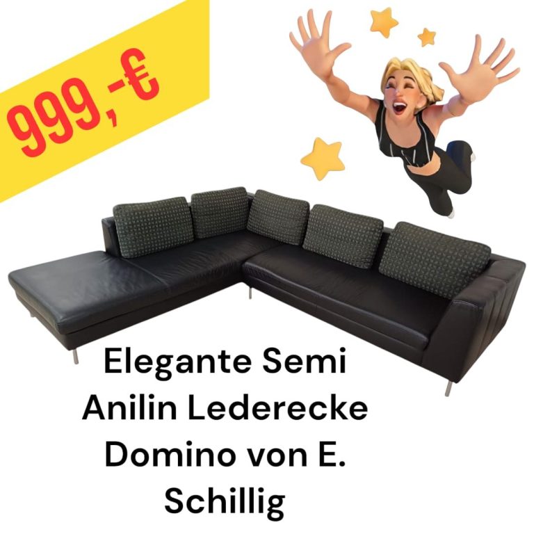 Polinova Ecksofa aus anti-aging Glattleder, Preis: 579 €