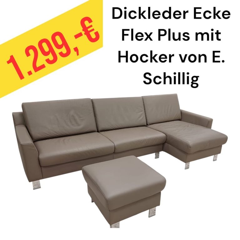 Polinova Ecksofa aus anti-aging Glattleder, Preis: 579 €