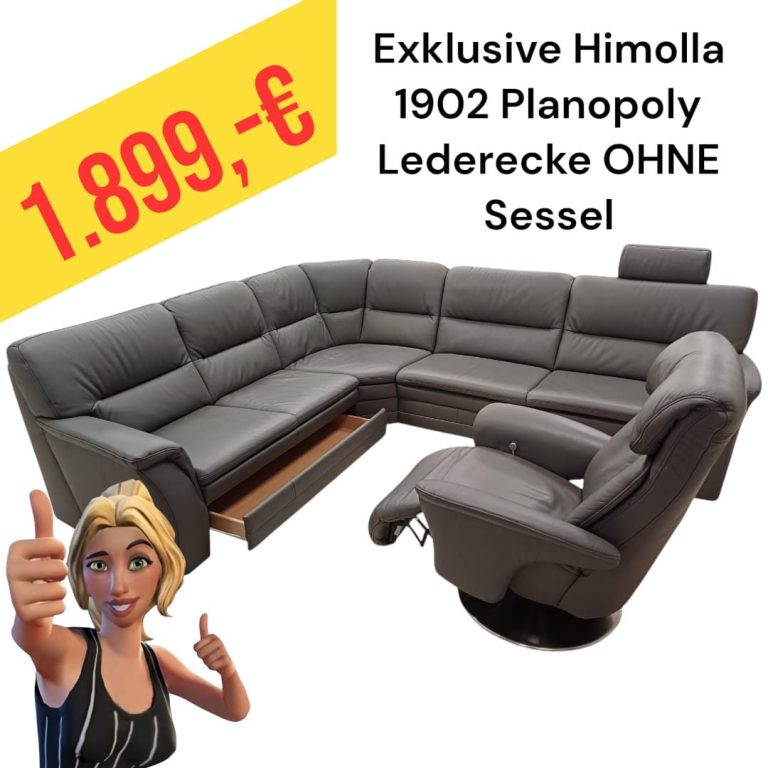 Polinova Ecksofa aus anti-aging Glattleder, Preis: 579 €