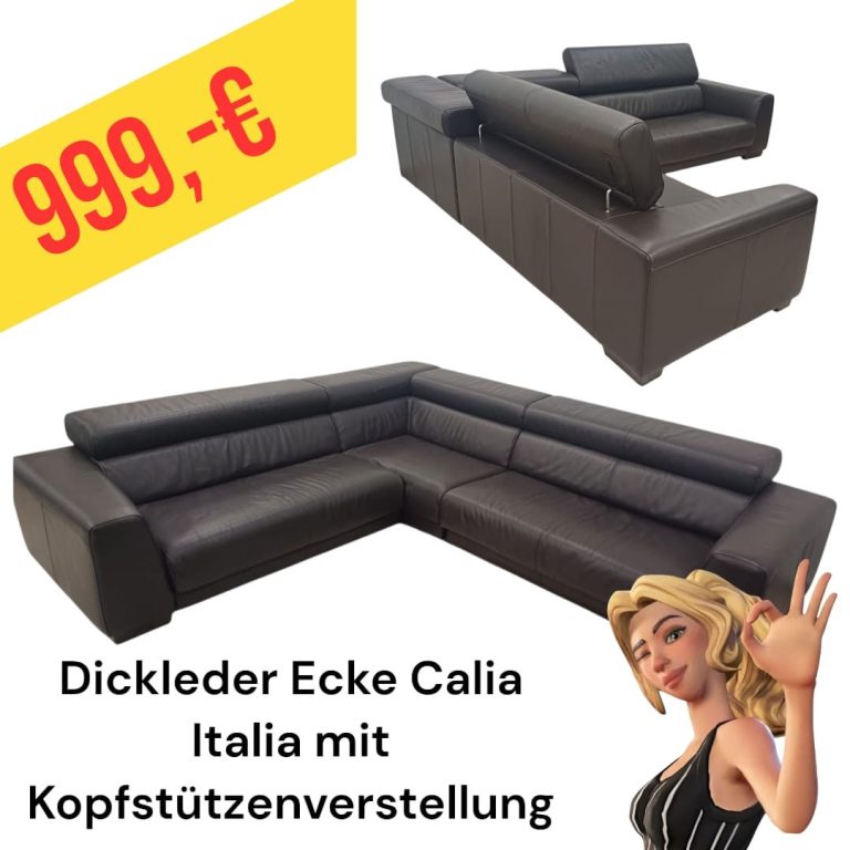 Polinova Ecksofa aus anti-aging Glattleder, Preis: 579 €