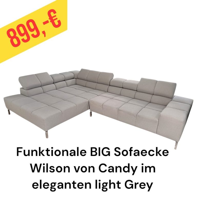 Polinova Ecksofa aus anti-aging Glattleder, Preis: 579 €